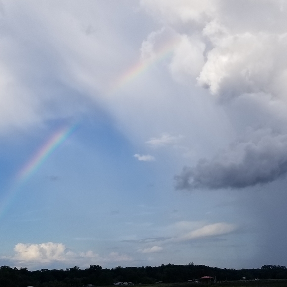 Meet your Posher, Lorilyn - Picture 16 of 16